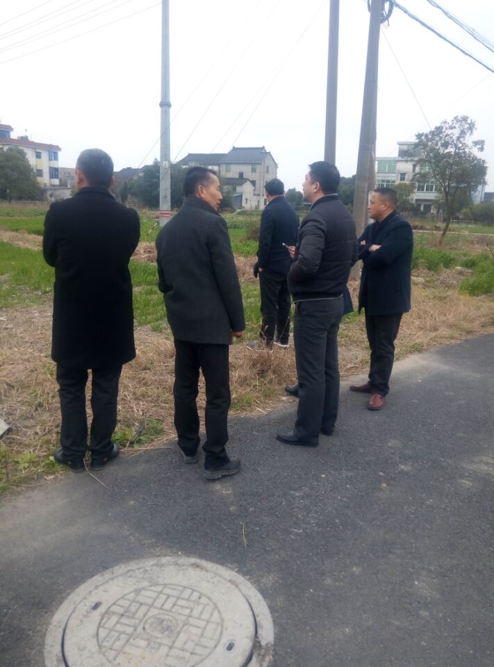 撸起袖子加油干、博顿投资率领考察团赴周王庙实地考察